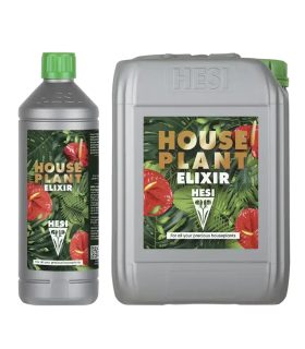 House Plant Elixir Hesi