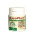 Comprar Mycoplant Trabe al mejor precio | Fertilizantes