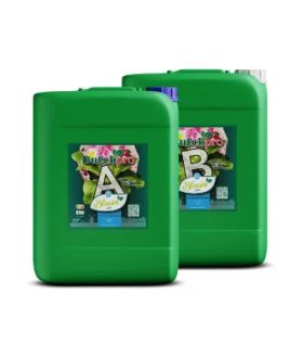 Dutch Pro Bloom Soil A+B Apă Moale Dutch Pro