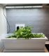 Comprar LEDD 0078 - Meliflor Tled Kitchengrow 26W 6600K + Imanes + Temporizador Meliflor al mejor precio | Iluminación Lec culti