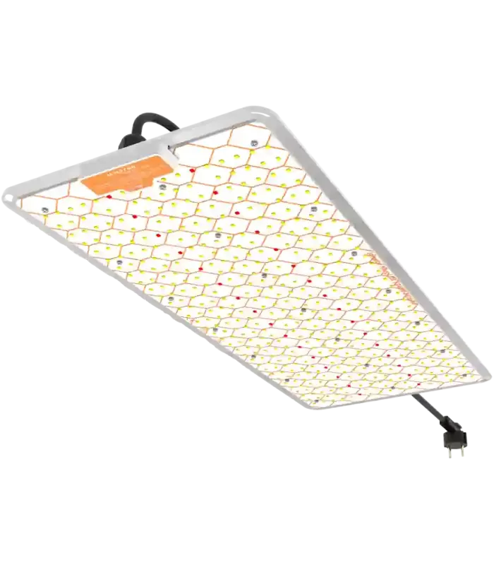 Comprar Ignator Heroled F 240W Ignator al mejor precio | Iluminación Lec cultivo