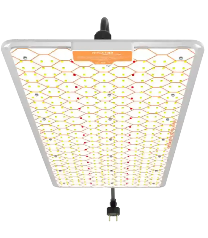 Comprar Ignator Heroled F 240W Ignator al mejor precio | Iluminación Lec cultivo