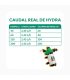 Comprar Bomba Netadrip Hydra 33 al mejor precio | Bombas de Aire y Agua