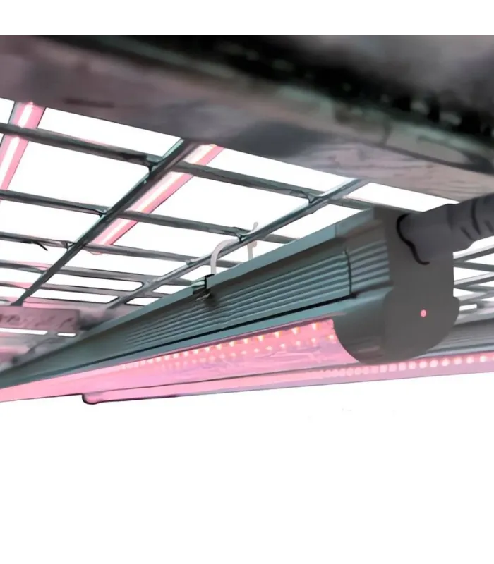 Cumpără Carucior De Propagare Cu LED la cel mai bun preț | Armarios de cultivo