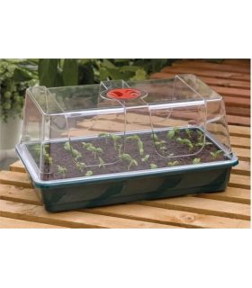 Cumpără Propagator De Ghirlande Mici la cel mai bun preț | Armarios de cultivo
