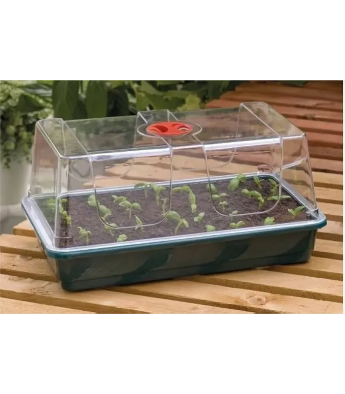 Cumpără Propagator De Ghirlande Mici la cel mai bun preț | Armarios de cultivo