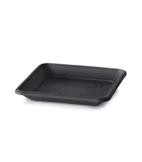 Cumpără Farfurie Plată la cel mai bun preț | Platos para macetas