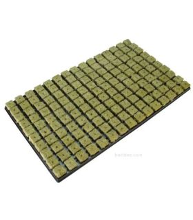 Comprar Bandeja Plugs Grodan al mejor precio | Tierra para plantas