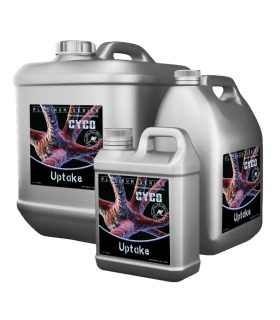 Uptake 250ml Cyco