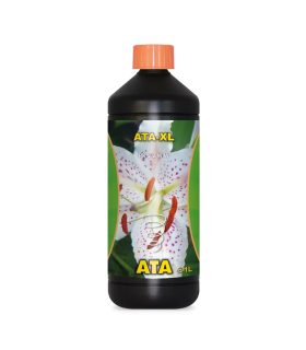 ATA XL Atami