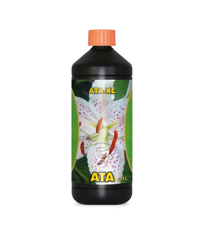 ATA XL Atami