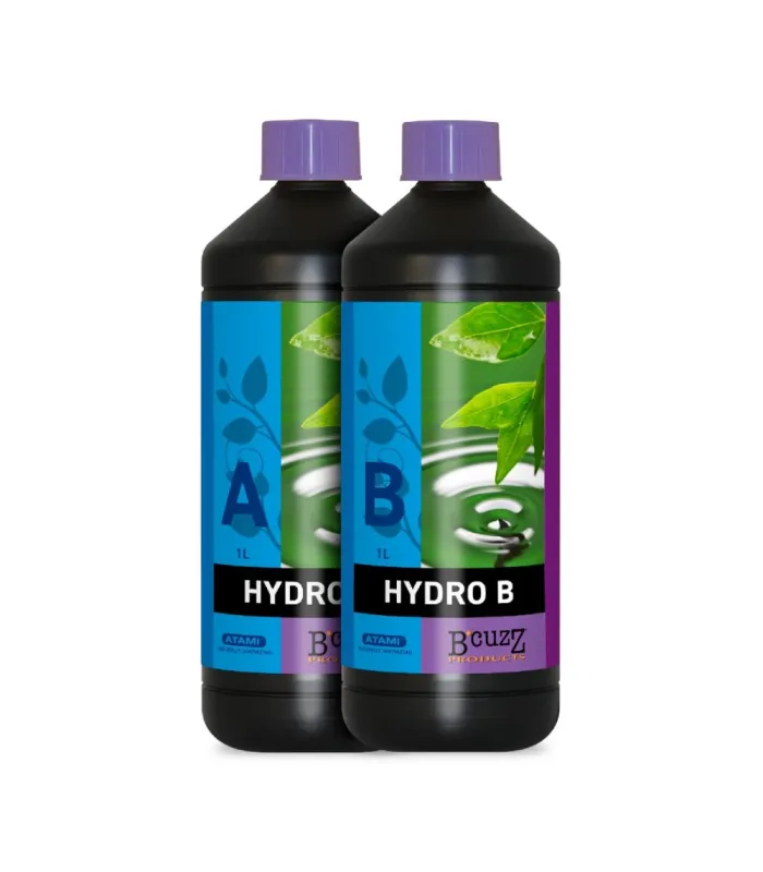 Hydro A+B B'Cuzz Atami