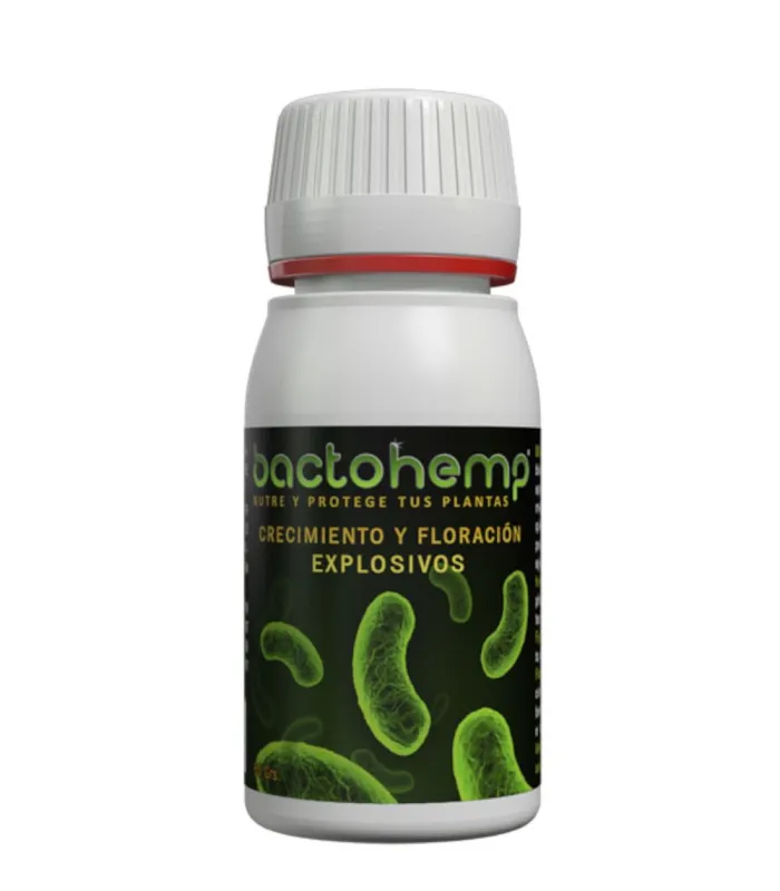 Bactohemp Agrobacterias