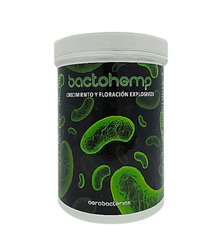 Bactohemp Agrobacterias