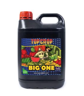 Big One Top Crop