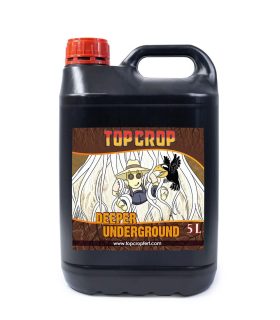 Deeper Underground Top Crop