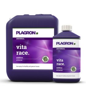 Vita Race