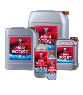 Hesi Boost