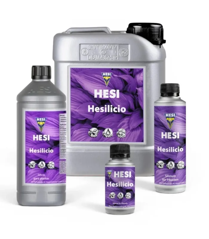 Hesilicio