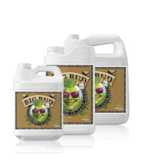 Big Bud Coco Liquid Advanced Nutrients