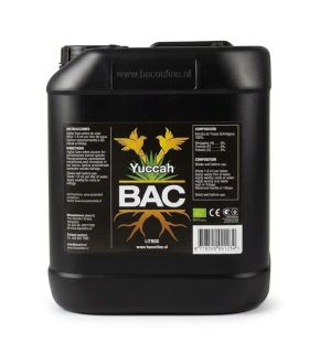 Yuccah BAC
