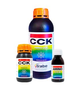 Amino CCK