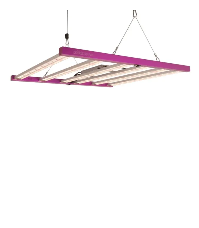 Comprar LED Cosmos PRO al mejor precio | Leds de cutlivo