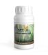 Comprar Substrate Buffer Liquid Aptus al mejor precio | Fertilizantes