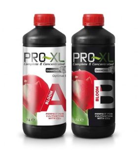 Cumpără Bloom A+B Pro-xl la cel mai bun preț | Abonos de Floración
