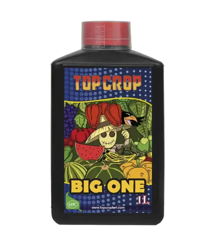 Cumpără Crop Top Big One Top Crop la cel mai bun preț | Fertilizantes