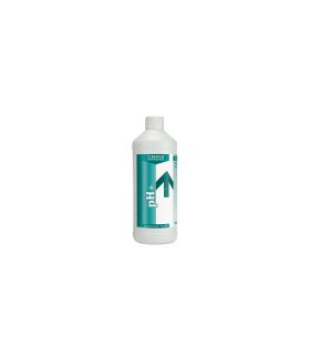 Cumpără Ph Plus 1 L Canna la cel mai bun preț | Fertilizantes