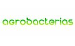 Agrobacterias