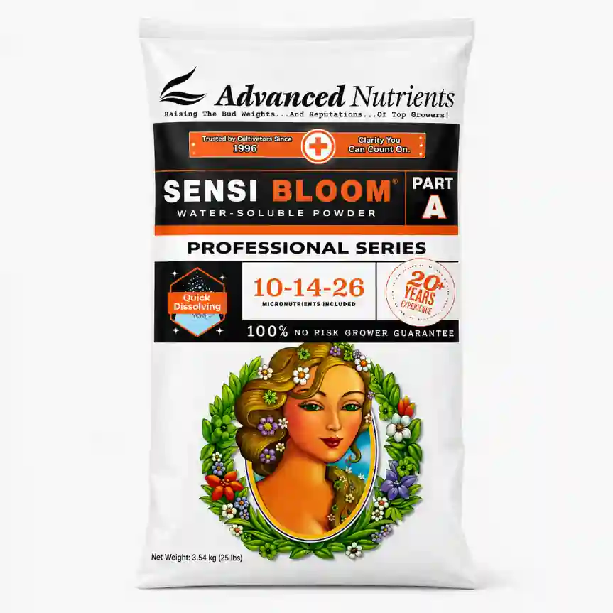 WSP Sensi Bloom A