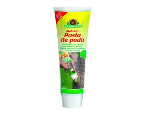 Aplicación de la pasta Malusan de Neudorff sobre un corte de rama para evitar infecciones.