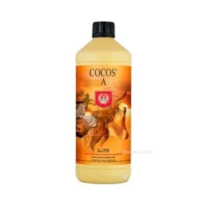 Coco A H&G